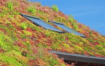 Inverroy living roof systems
