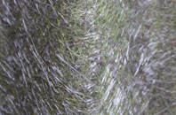 Inverroy fibreglass roof work